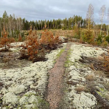 Domek letniskowy Angervo