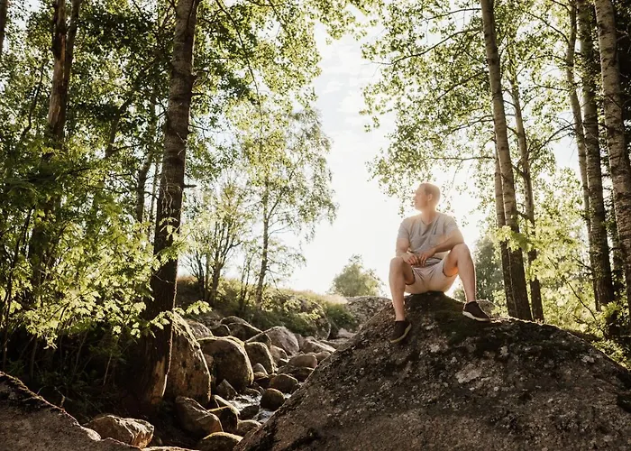 אכסניה Angervo