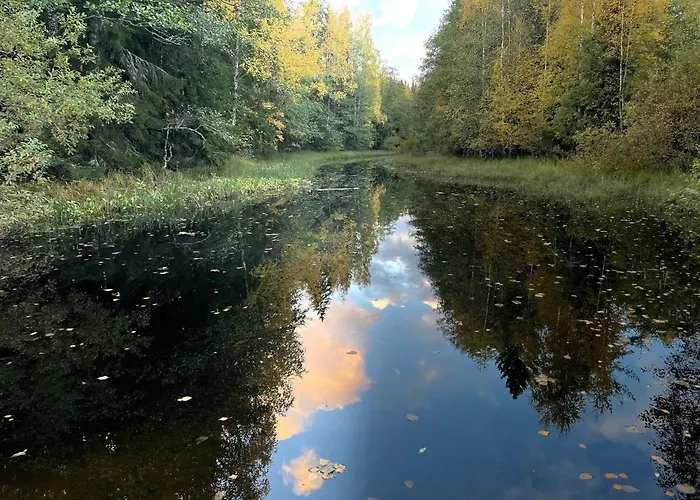 אכסניה Angervo